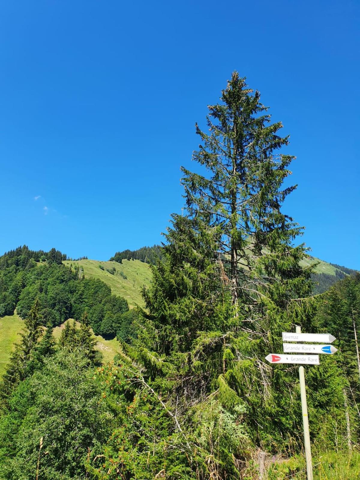 Appartement La Duchere Le Plan-La Giettaz Massif Des Aravis Exterior foto